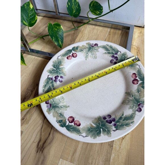 Jamberry Pfaltzgraff plate - Picture 2 of 6